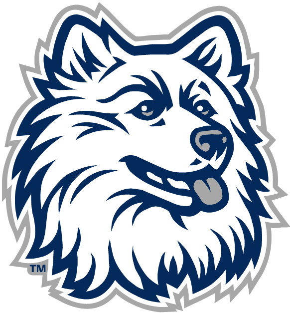 UConn Huskies 1996-2012 Alternate Logo v2 diy iron on heat transfer